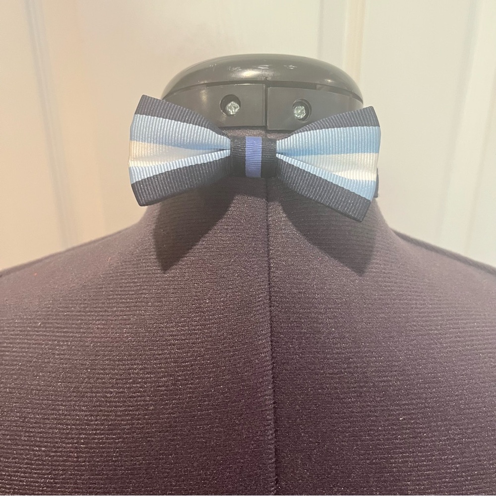 Janie and Jack Children’s Blue Striped Bow Tie